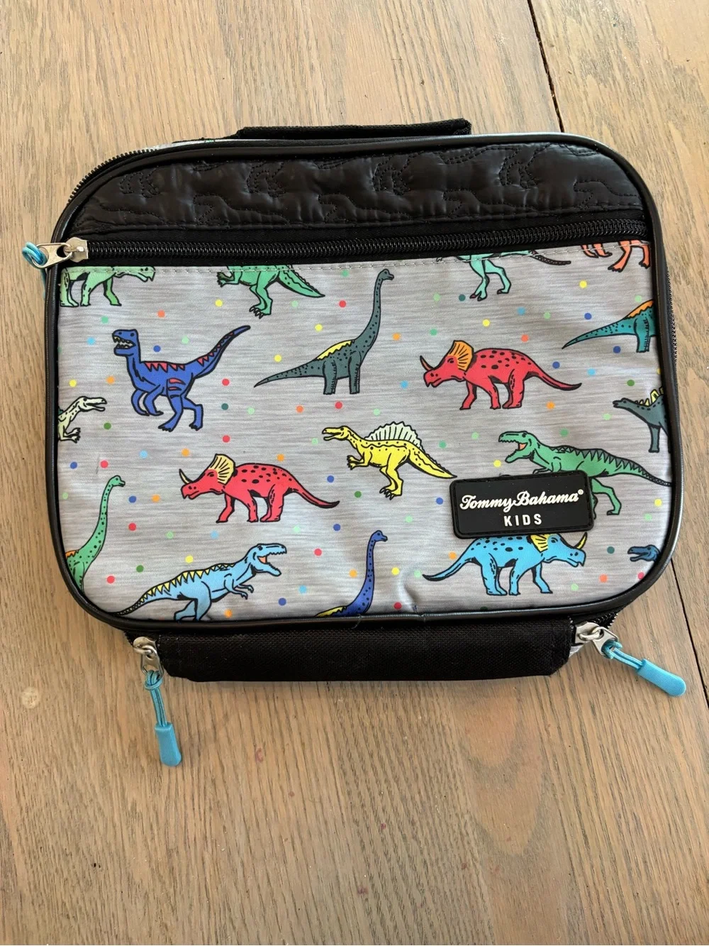 Tommy Bahama Kids Gray Backpack with Multicolor Dinosaur Print